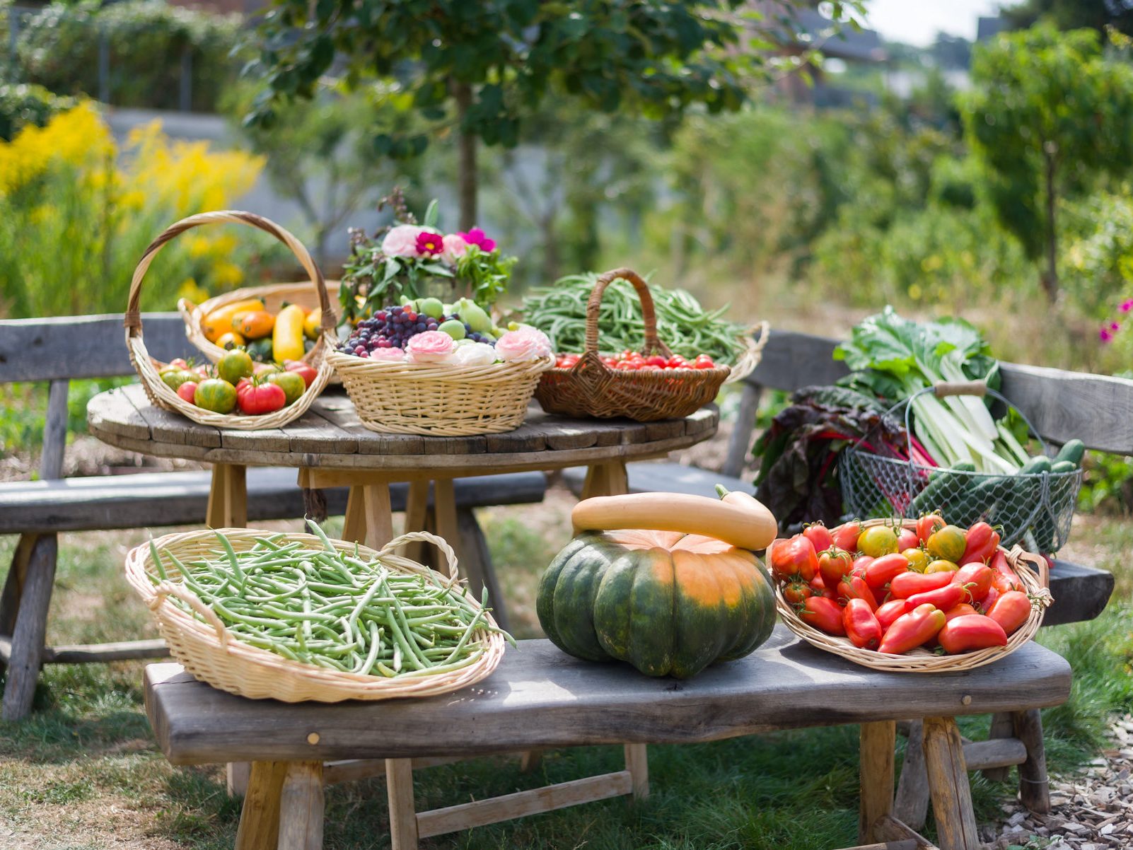 Photo La Ferme Nature et Découvertes – CLAP